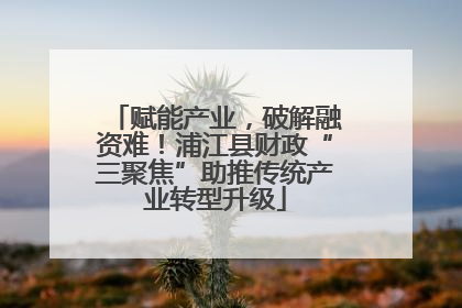 赋能产业，破解融资难！浦江县财政“三聚焦”助推传统产业转型升级
