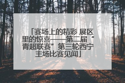 赛场上的精彩 展区里的惊喜——第二届“青超联赛”第三轮西宁主场比赛见闻