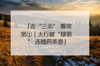 走“三北” 看攻坚①｜太行披“绿装” 连翘药茶香