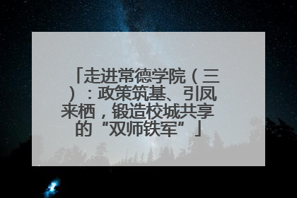 走进常德学院（三）：政策筑基、引凤来栖，锻造校城共享的“双师铁军”