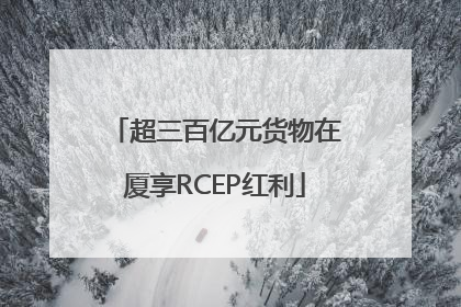 超三百亿元货物在厦享RCEP红利