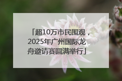 超10万市民围观，2025年广州国际龙舟邀请赛圆满举行