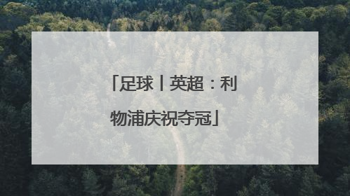 足球丨英超：利物浦庆祝夺冠