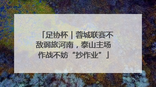 足协杯｜蓉城联赛不敌弱旅河南，泰山主场作战不妨“抄作业”