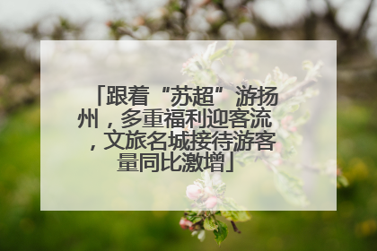 跟着“苏超”游扬州，多重福利迎客流，文旅名城接待游客量同比激增