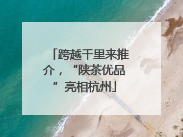 跨越千里来推介，“陕茶优品”亮相杭州