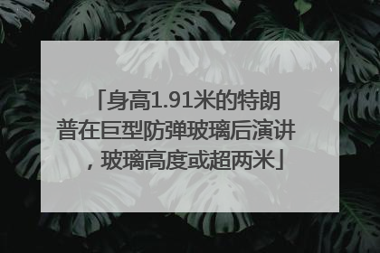 身高1.91米的特朗普在巨型防弹玻璃后演讲，玻璃高度或超两米