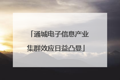 通城电子信息产业集群效应日益凸显