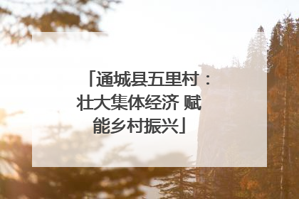 通城县五里村：壮大集体经济 赋能乡村振兴