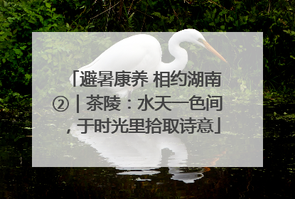 避暑康养 相约湖南②｜茶陵：水天一色间，于时光里拾取诗意
