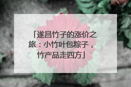 遂昌竹子的涨价之旅：小竹叶包粽子，竹产品走四方