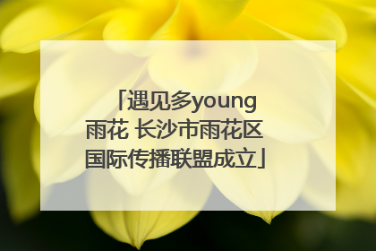 遇见多young雨花 长沙市雨花区国际传播联盟成立