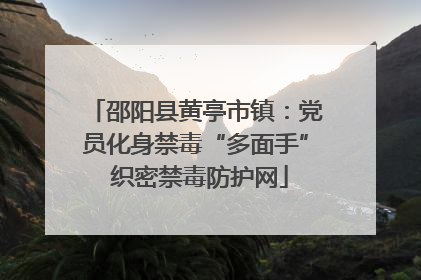 邵阳县黄亭市镇：党员化身禁毒“多面手” 织密禁毒防护网