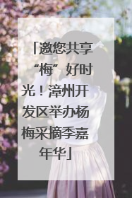 邀您共享“梅”好时光！漳州开发区举办杨梅采摘季嘉年华