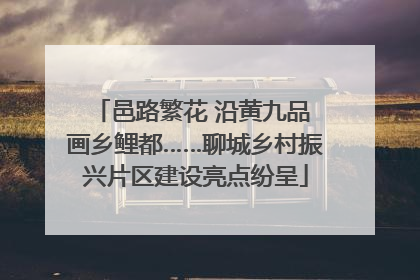 邑路繁花 沿黄九品 画乡鲤都……聊城乡村振兴片区建设亮点纷呈