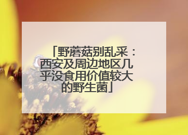 野蘑菇别乱采：西安及周边地区几乎没食用价值较大的野生菌