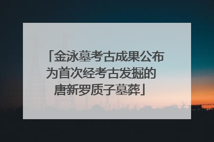 金泳墓考古成果公布 为首次经考古发掘的唐新罗质子墓葬