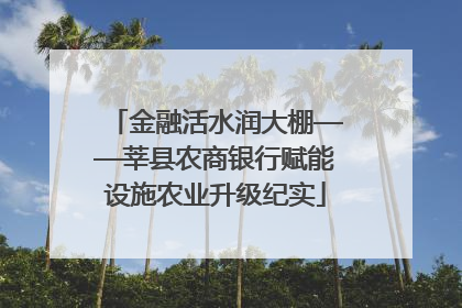金融活水润大棚——莘县农商银行赋能设施农业升级纪实