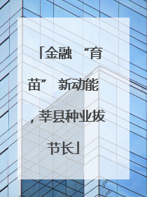 金融 “育苗” 新动能，莘县种业拔节长