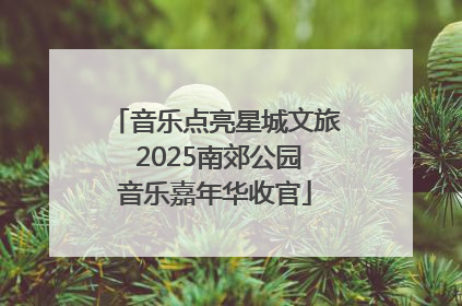 音乐点亮星城文旅 2025南郊公园音乐嘉年华收官