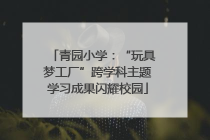 青园小学：“玩具梦工厂”跨学科主题学习成果闪耀校园