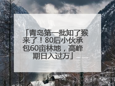 青岛第一批知了猴来了！80后小伙承包60亩林地，高峰期日入过万