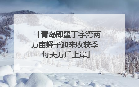 青岛即墨丁字湾两万亩蛏子迎来收获季 每天万斤上岸