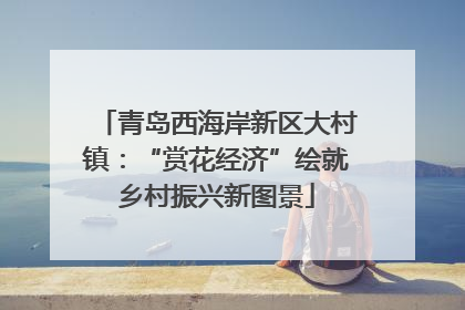 青岛西海岸新区大村镇：“赏花经济”绘就乡村振兴新图景