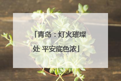青岛：灯火璀璨处 平安底色浓