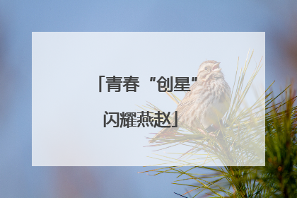 青春“创星” 闪耀燕赵