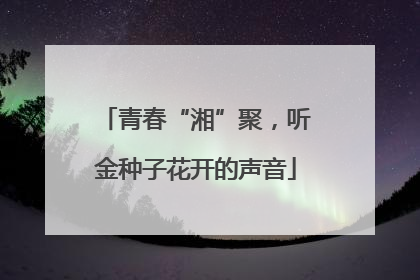 青春“湘”聚，听金种子花开的声音