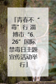青春不“毒”行 淄博市“6.26”国际禁毒日主题宣传活动举行