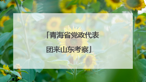 青海省党政代表团来山东考察