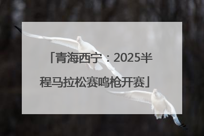 青海西宁：2025半程马拉松赛鸣枪开赛