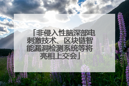 非侵入性脑深部电刺激技术、区块链智能漏洞检测系统等将亮相上交会