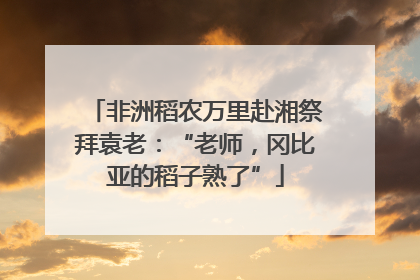 非洲稻农万里赴湘祭拜袁老：“老师，冈比亚的稻子熟了”