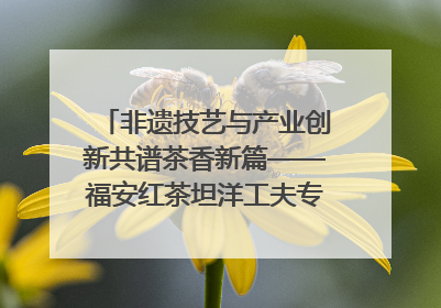 非遗技艺与产业创新共谱茶香新篇——福安红茶坦洋工夫专场推介会在京举办
