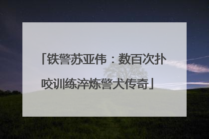 铁警苏亚伟：数百次扑咬训练淬炼警犬传奇
