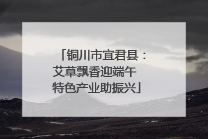 铜川市宜君县：艾草飘香迎端午 特色产业助振兴
