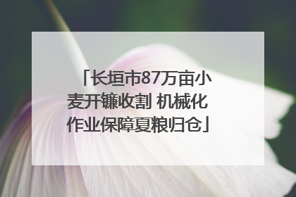 长垣市87万亩小麦开镰收割 机械化作业保障夏粮归仓