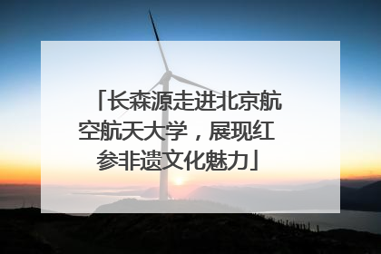 长森源走进北京航空航天大学，展现红参非遗文化魅力