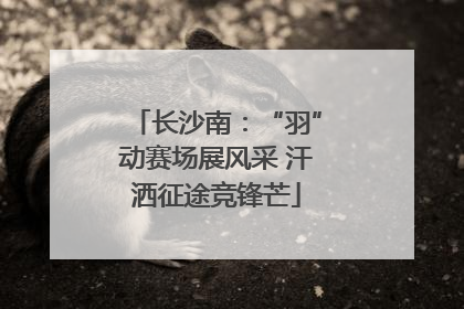 长沙南：“羽”动赛场展风采 汗洒征途竞锋芒