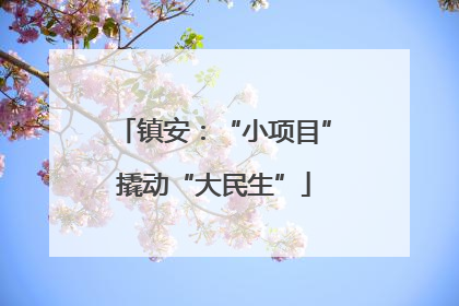 镇安：“小项目”撬动“大民生”