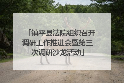 镇平县法院组织召开调研工作推进会暨第三次调研沙龙活动