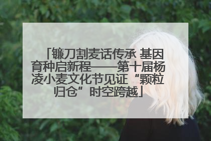 镰刀割麦话传承 基因育种启新程——第十届杨凌小麦文化节见证“颗粒归仓”时空跨越