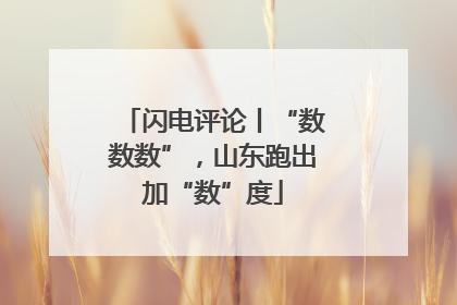闪电评论丨“数数数”，山东跑出加“数”度
