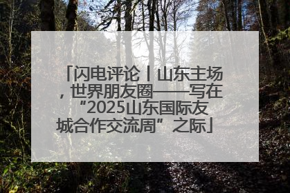 闪电评论丨山东主场，世界朋友圈——写在“2025山东国际友城合作交流周”之际