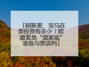 阿斯麦、宝马在美投资有多少？欧盟紧急“盘家底”准备与美谈判