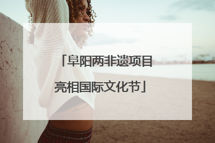 阜阳两非遗项目亮相国际文化节