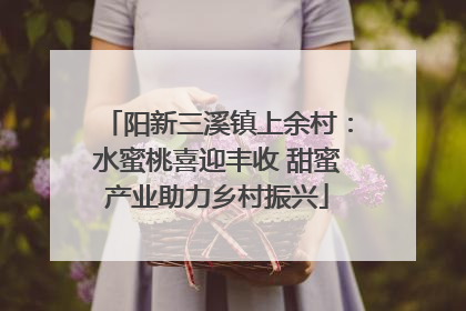 阳新三溪镇上余村：水蜜桃喜迎丰收 甜蜜产业助力乡村振兴